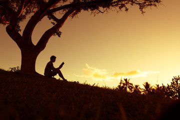 四川大学艺术录取分数线/四川大学艺术学院录取分数线