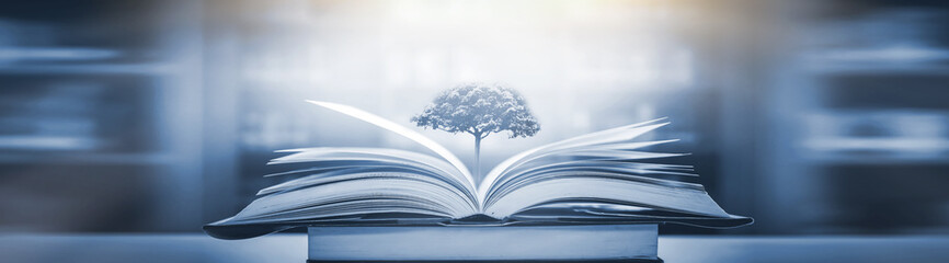 讴歌RDX怎么样(讴歌rdx真实口碑)