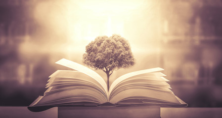 【2017中考郑州十中录取分数线,郑州十中分数线是多少2020】