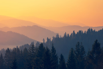 浙江大学历年录取分数线(2021年浙江大学的录取分数线)