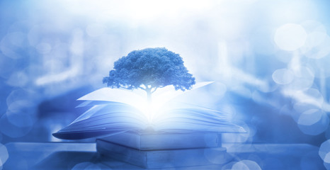 浙大经济学录取分数线/浙大录取分数线2021