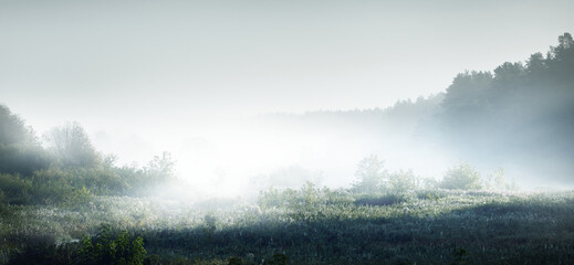 【西京学院的录取分数线,西京学院录取分数线2025年是多少】