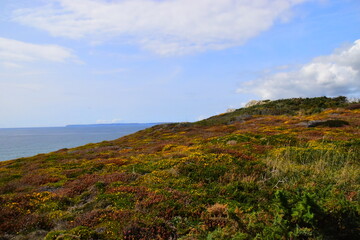 【2016十六中录取分数线,16中的录取分数线】