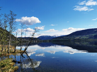【今年东财录取分数线,东财各专业录取分数线】