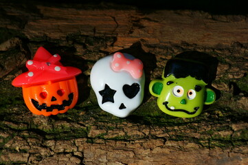 厦门莲花录取分数线/厦门入取分数线