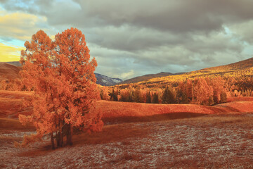 四川大学艺体录取分数线/四川大学艺术生录取分数线2020