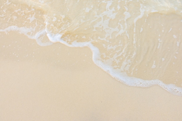 外事历年录取分数线(外事学院录取分数)