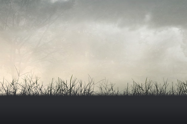 蚌埠市一中录取分数线(蚌埠一中最低分数线)