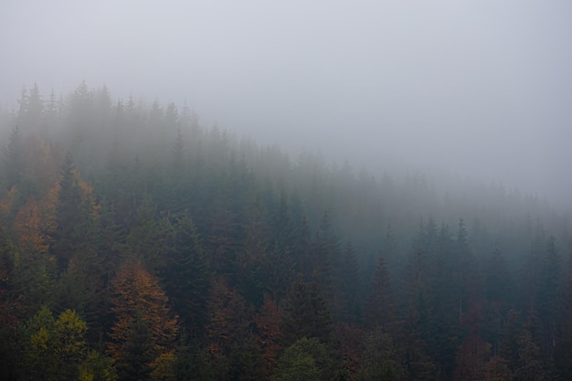 【平湖今天夜间天气,平湖昨日天气】
