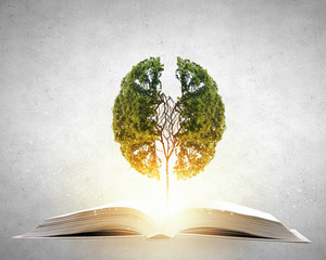 去年武大录取分数线/去年武大录取分数线是多少