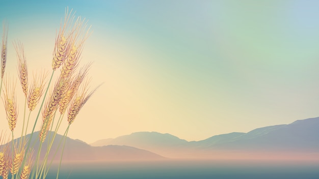 平果高中录取分数线(平果铝高中分数录取线)