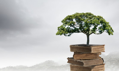 2017苏州田家炳高中录取分数线(苏州田家炳中学2020高考)