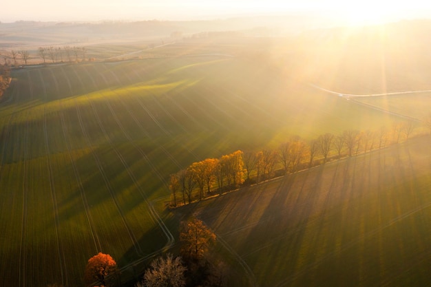 鸡西十九中录取分数线(鸡西十九中学分数线2021)