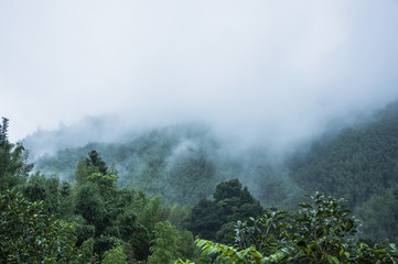 【镇海高中录取分数线,镇海区高中录取分数线】